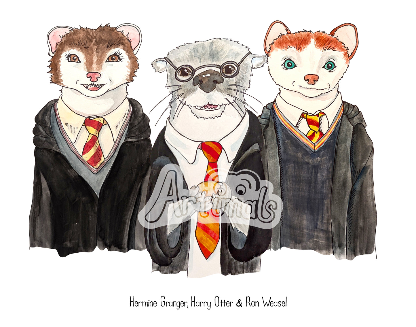 Harry Otter