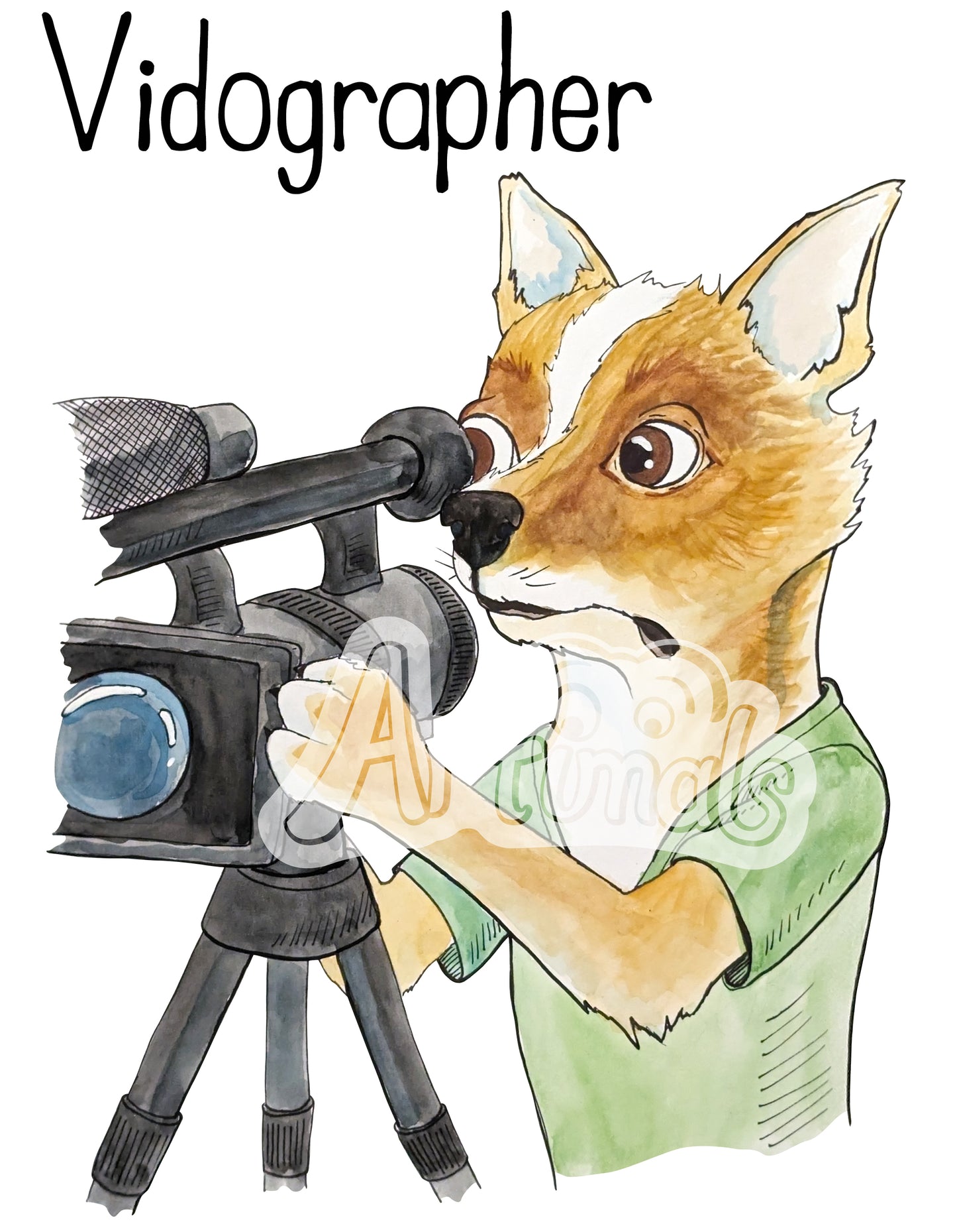 Vidographer