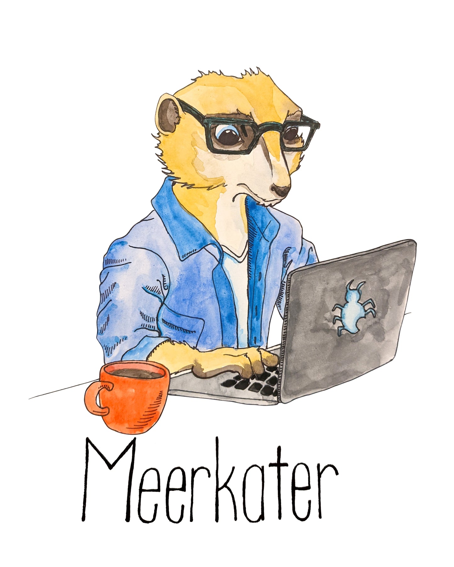 Meerkater