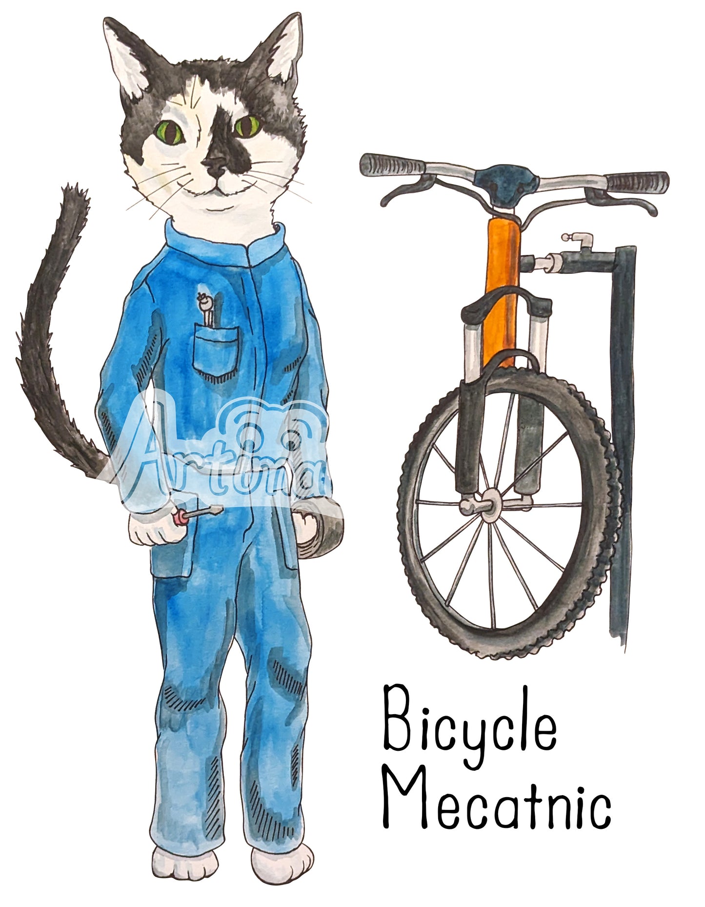 Bicycle Mecatnic