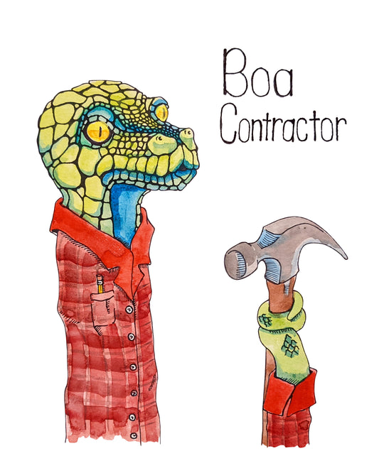 Boa Contractor